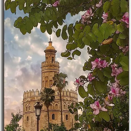 Rincon De Nati Triana Apartment